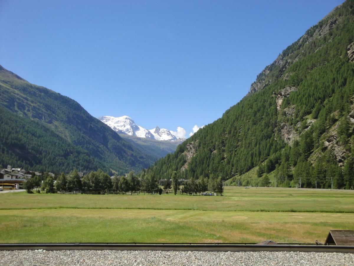 Monte Rosa D 412 Aparthotel Tasch Bagian luar foto