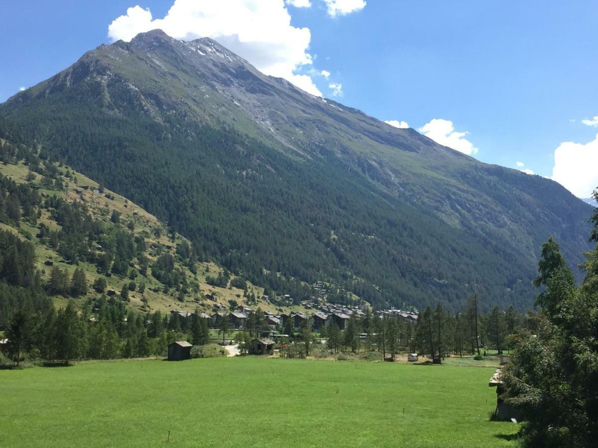 Monte Rosa D 412 Aparthotel Tasch Bagian luar foto